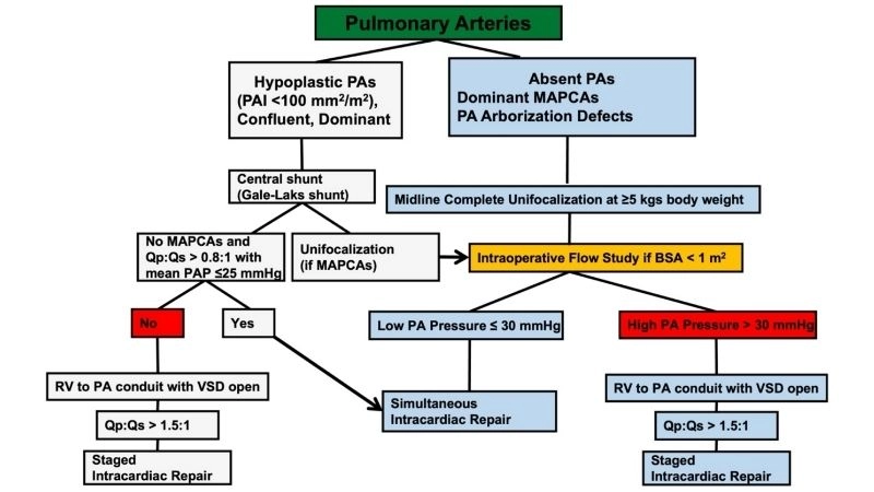 Pulmonary atresia surgery procedures and recovery process