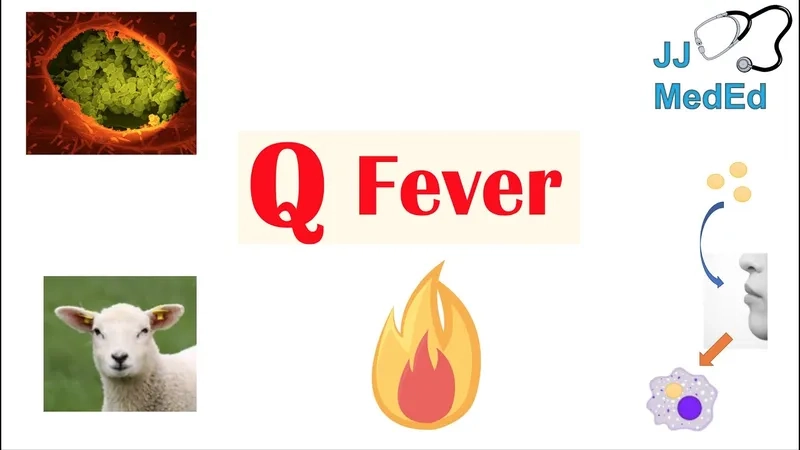 Understanding the risks of Q fever disease