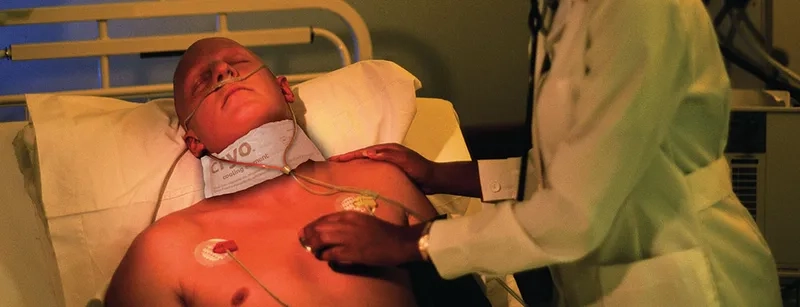 The body louse vector of louse-borne relapsing fever (LBRF)