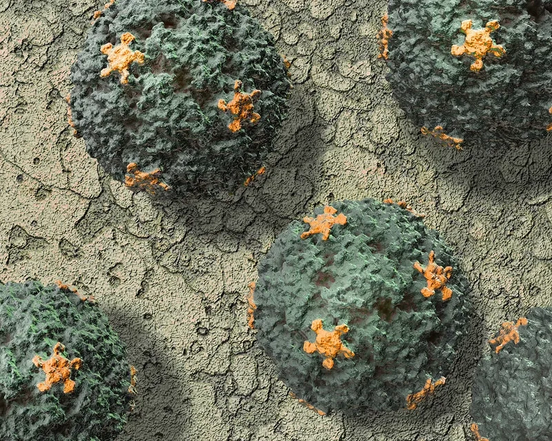A chart comparing rhinovirus vs coronavirus