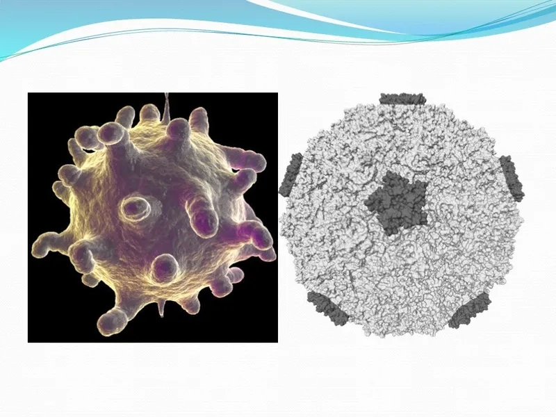 Over-the-counter rhinovirus treatment options