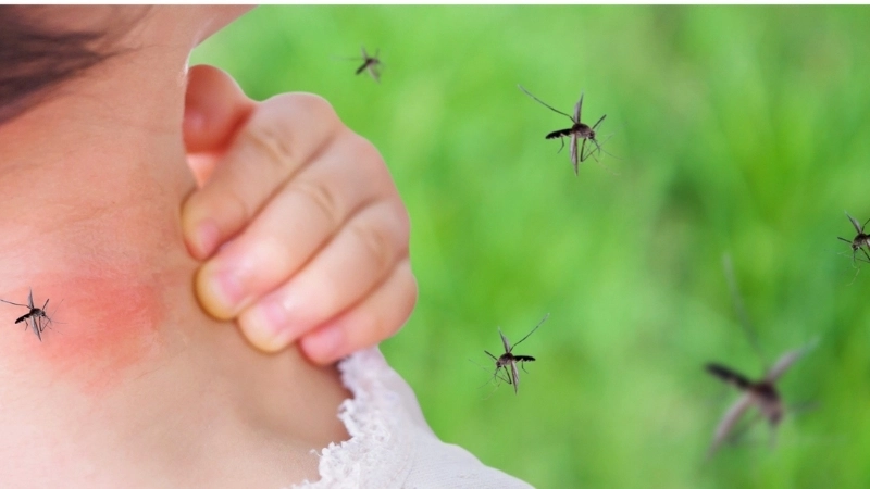 Ross River Fever impact on life expectancy