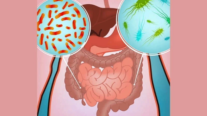 Rotavirus Infection and tips for rotavirus prevention