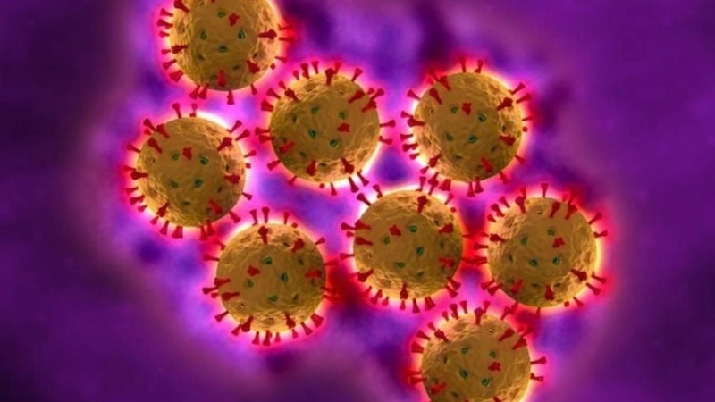 Rotavirus Infection risk high in rotavirus in babies