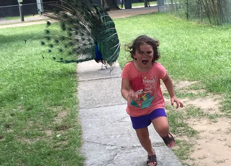 The unforgettable naruto run meme