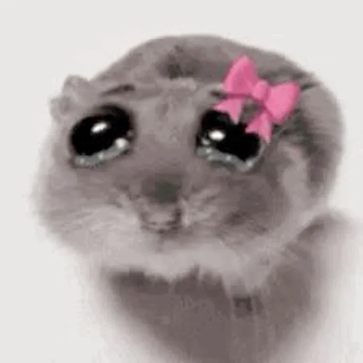 The original hamster looking at camera meme