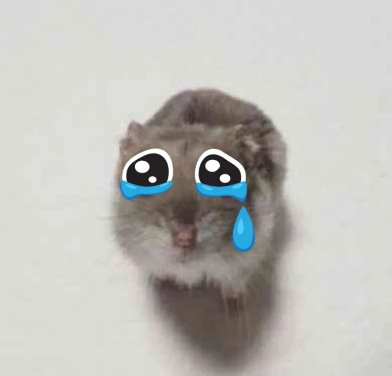 The emotional sad hamster meme song playing