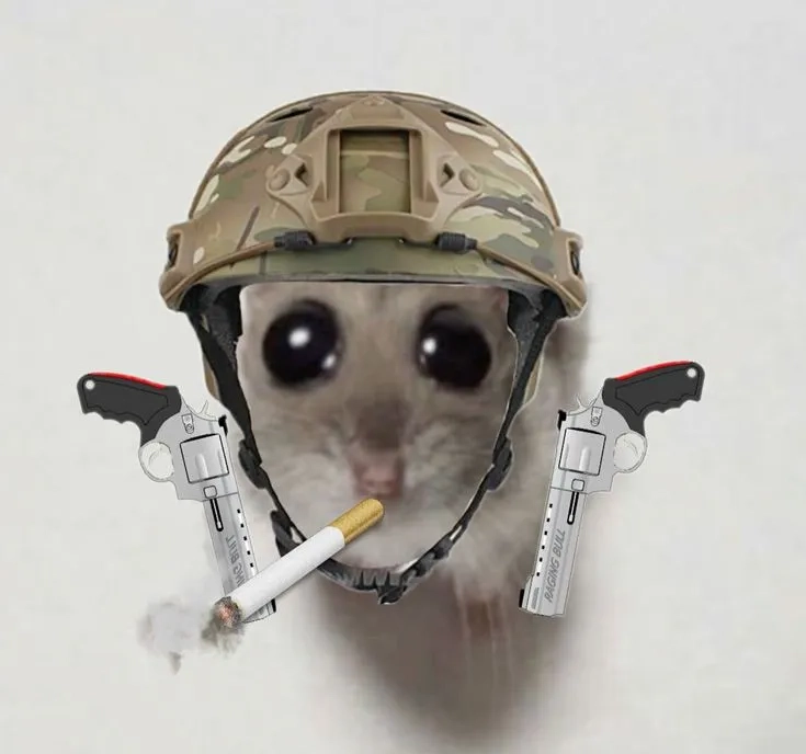 The viral sad hamster tiktok trend