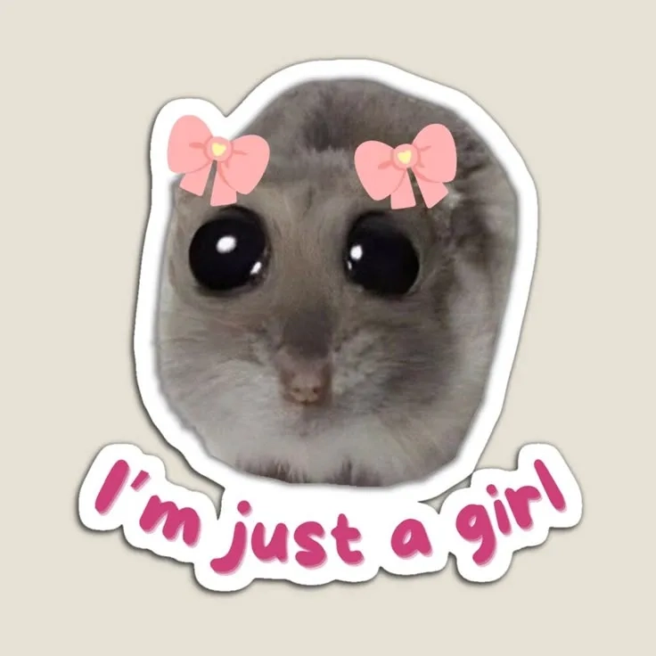 A cute and popular sad hamster keychain