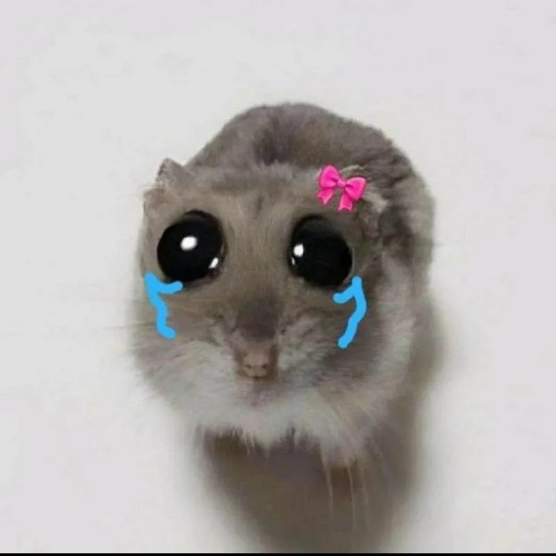 Explaining the sad hamster origin story