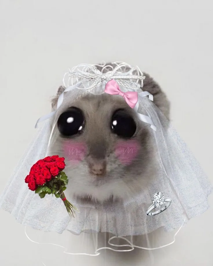 The iconic hamster meme sound for your videos