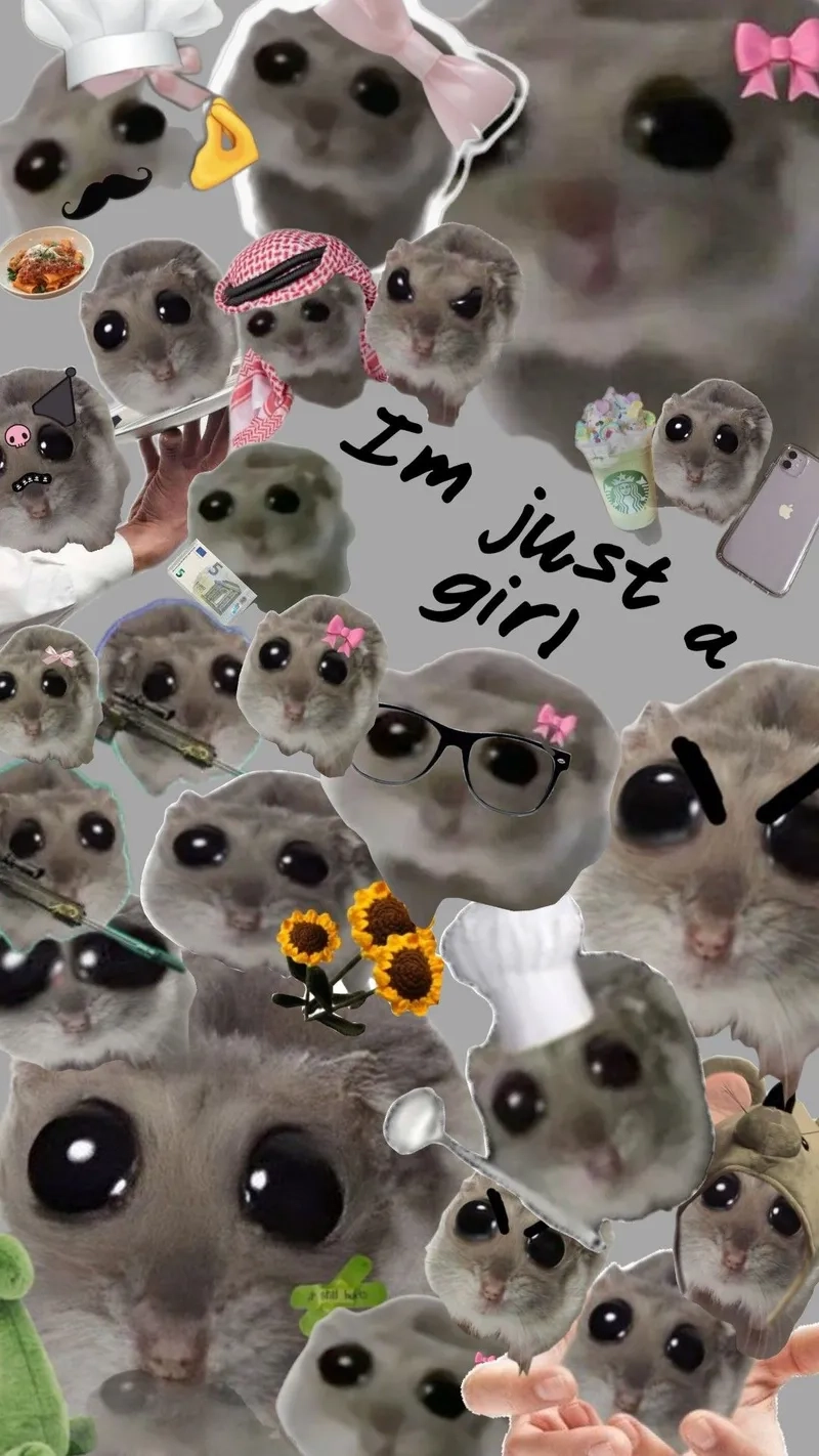 The famous hamster looking at camera meme that started it all