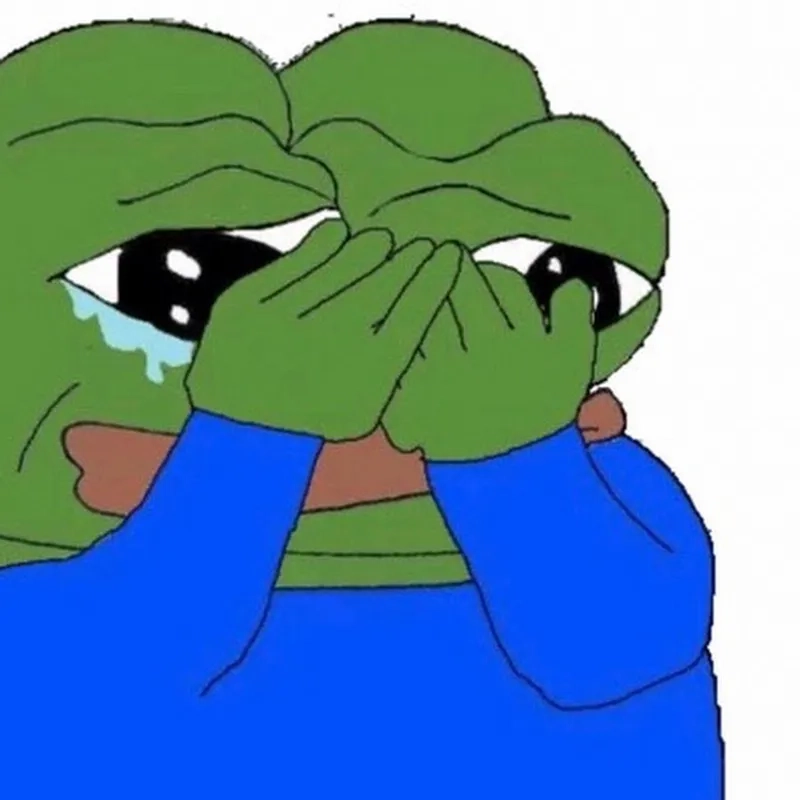 A cute but sad dog meme looking out a window