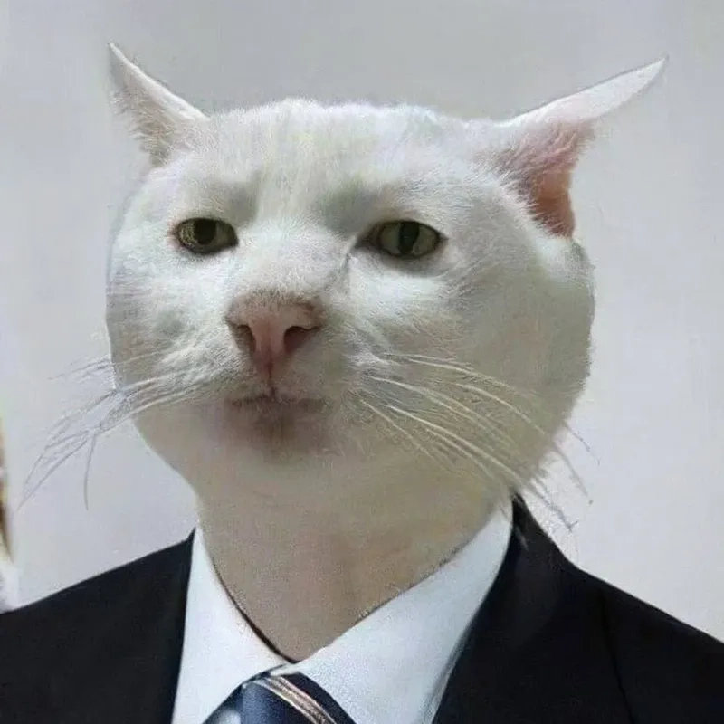 The iconic crying sad cat meme