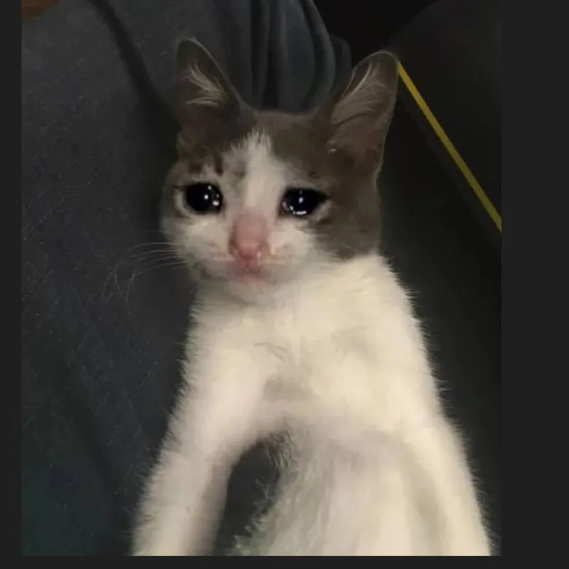 A relatable sad quotes meme for tough days