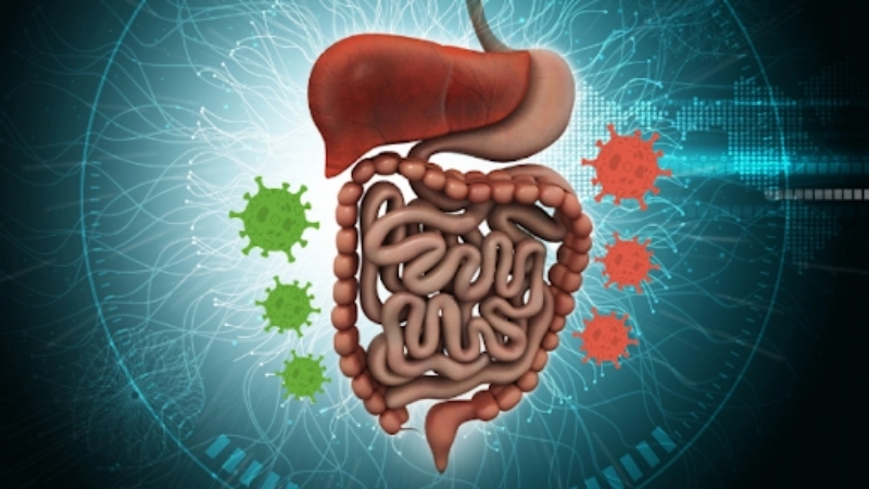 Sapovirus Infection with Sapovirus facts