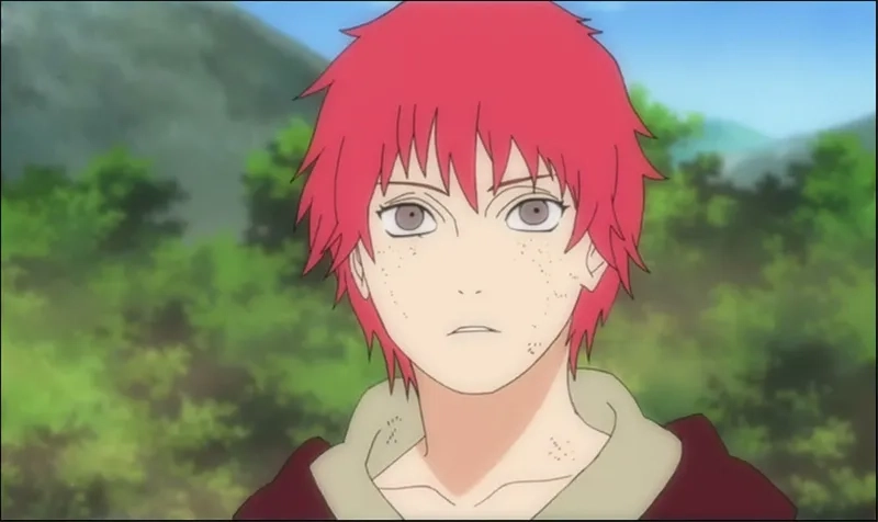 Discover Sasori True Form in hidden moments