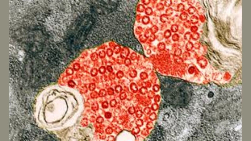 Stay updated on the latest SARS outbreak trends