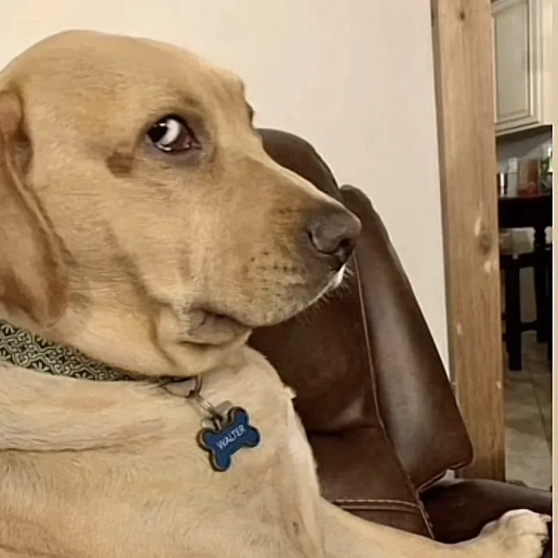 A baby giving the ultimate side eye