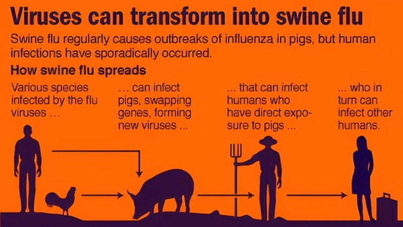 When swine flu started many feared the spread