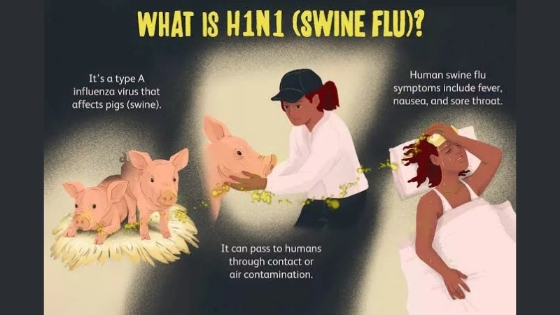 Is swine flu the same as influenza a virus type