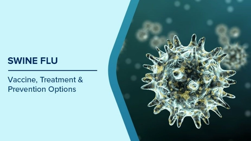 Can swine flu be transmitted to humans easily