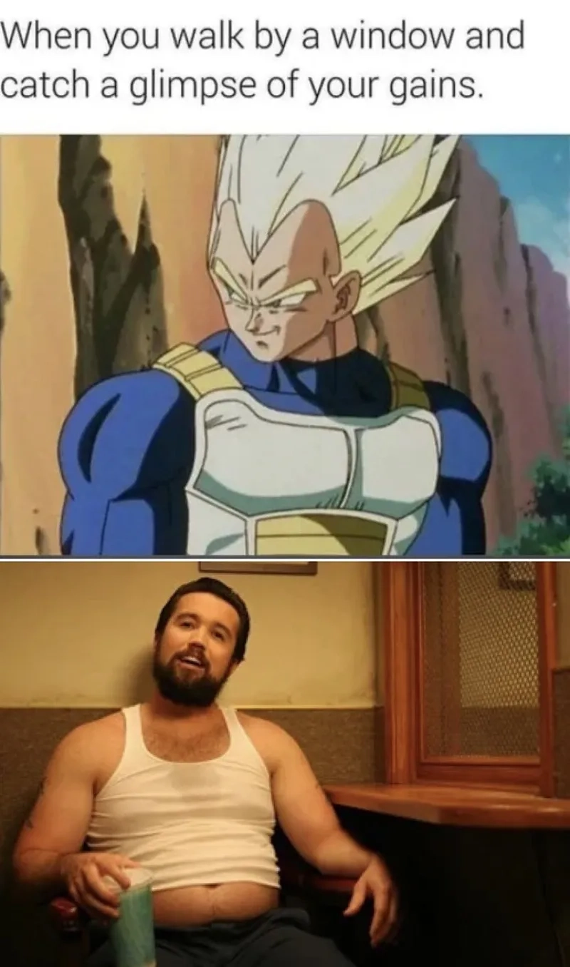 The proud Prince Vegeta meme