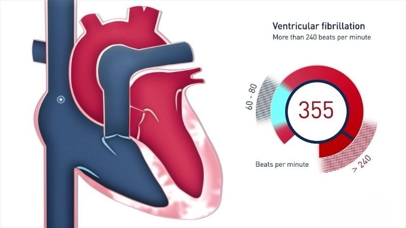 Cardiology focuses on diagnosis and treatment of heart conditions