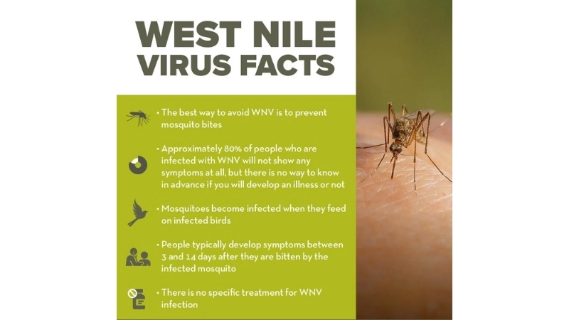 West Nile Virus treatment options are limited