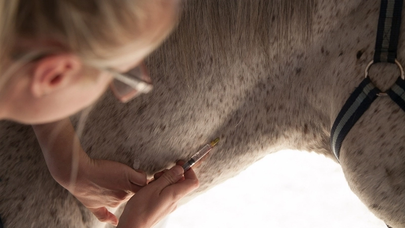 Explore latest options for WEE virus treatment today