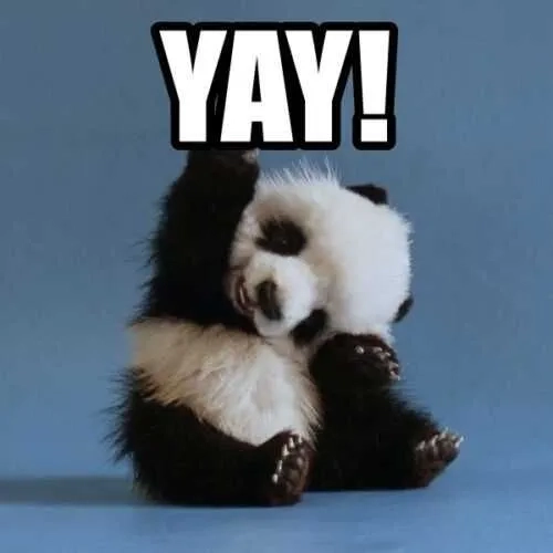 When you're truly happy: the yay cat meme