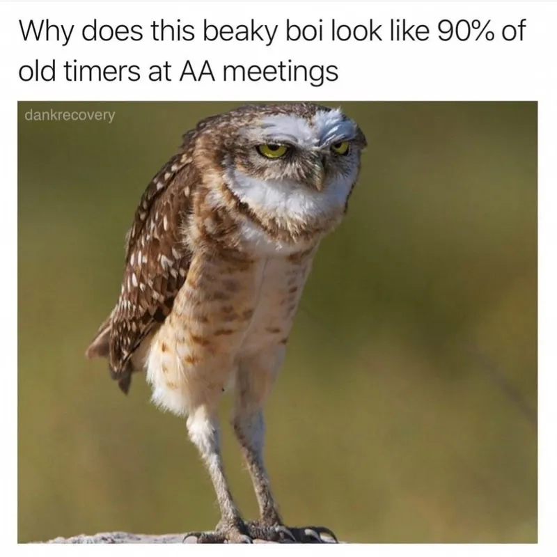 A looping and celebratory yay gif