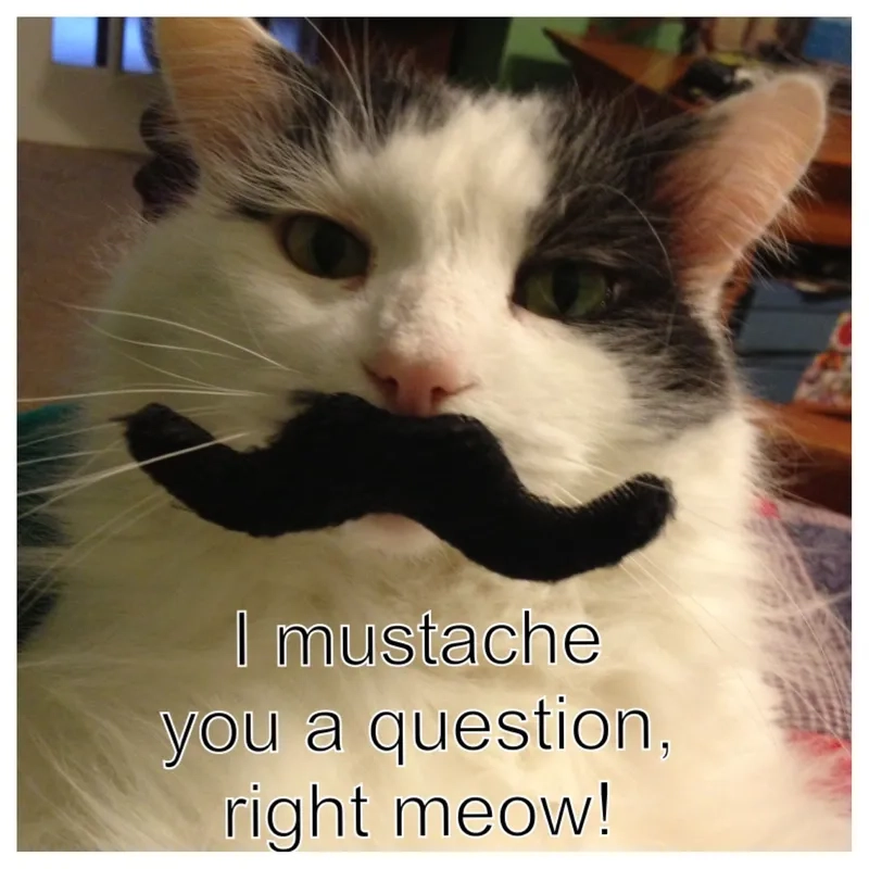 A small but mighty tiny yay meme