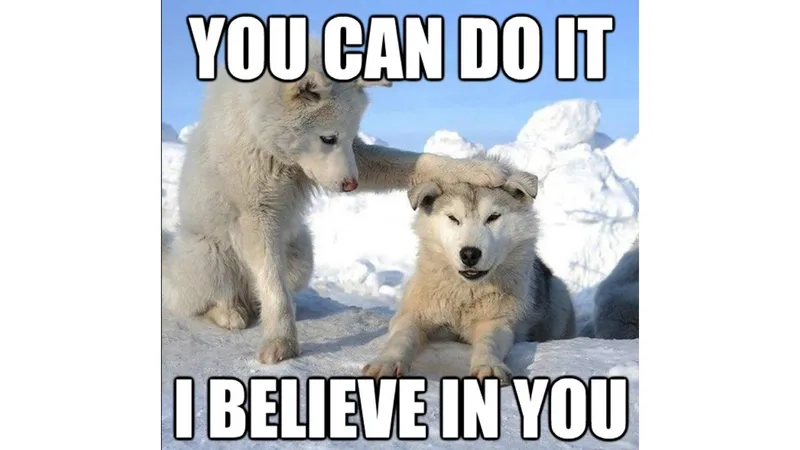 The classic you can do it meme