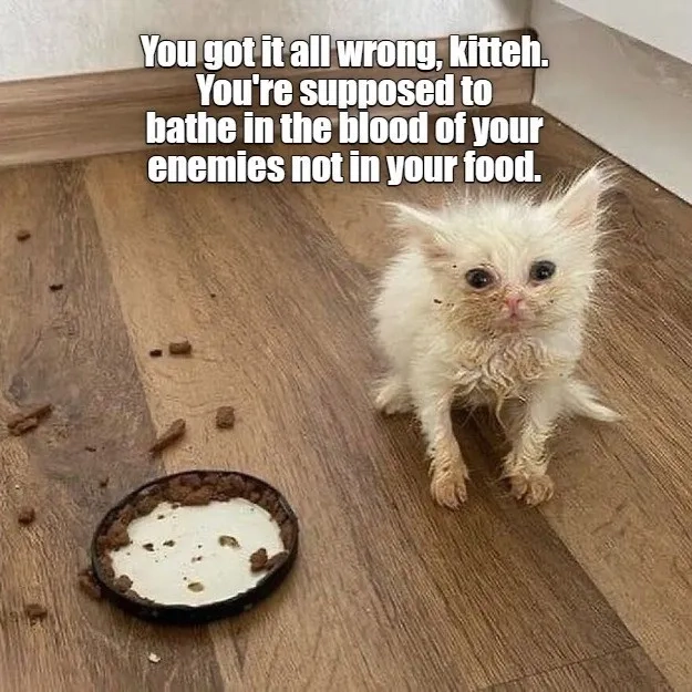 The classic you can do it meme