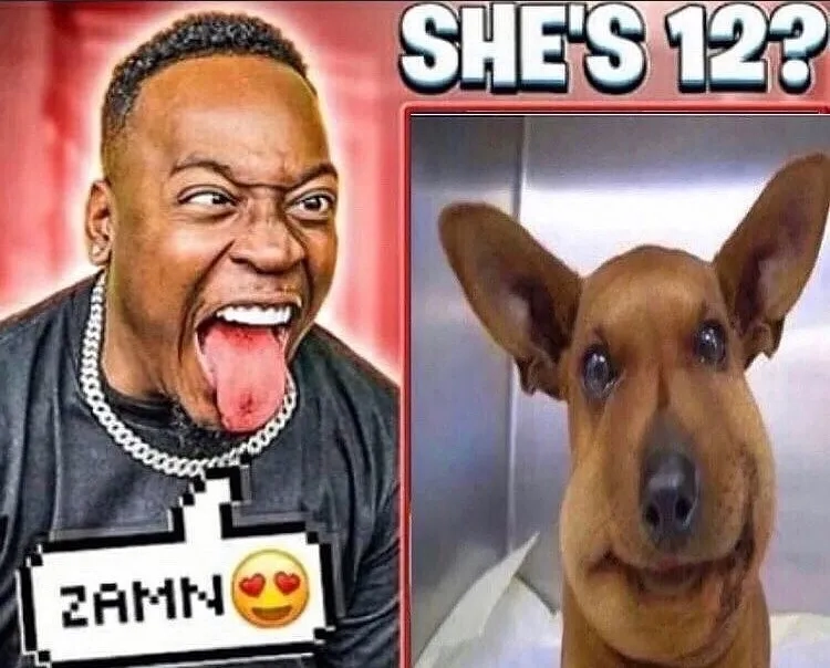 The viral Zamn gif in action