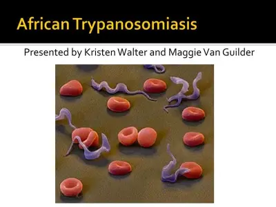 African trypanosomiasis - The danger of the tsetse fly bite