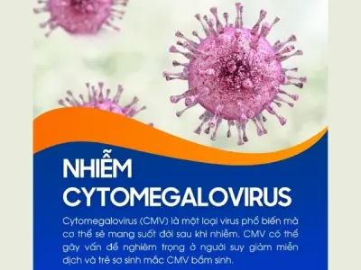 Understanding infectious cytomegalovirus (CMV) infection