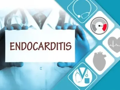 Understanding Endocarditis (leading to valve damage) risks