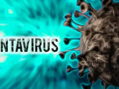 Understanding hantavirus pulmonary syndrome (hps) risks