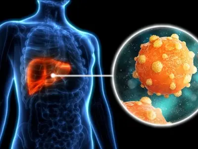 Hepatitis B - Understanding the hepatitis b blood test results