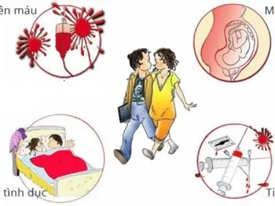 Understanding Human Immunodeficiency Virus Infection / AIDS