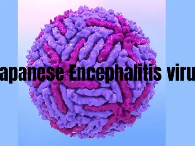 The lifelong neurological risks of japanese encephalitis