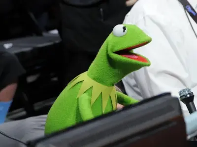 The ultimate Kermit meme gallery for Muppet fans