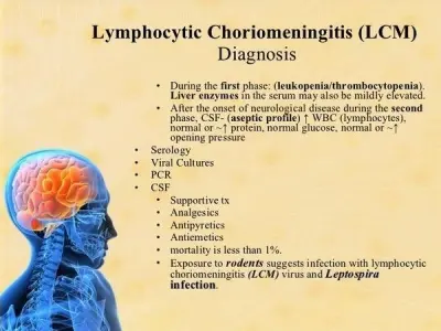 Understanding lymphocytic choriomeningitis (LCM) risks