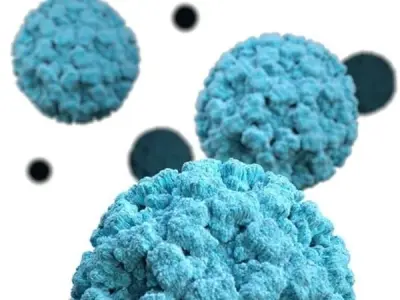 How to survive a norovirus infection outbreak