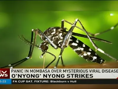 Everything you need to know about Onyongnyong Fever