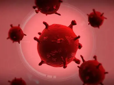 How the plague is transmitted from fleas to humans?