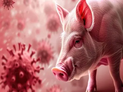 What is swine influenza and how to prevent it effectively
