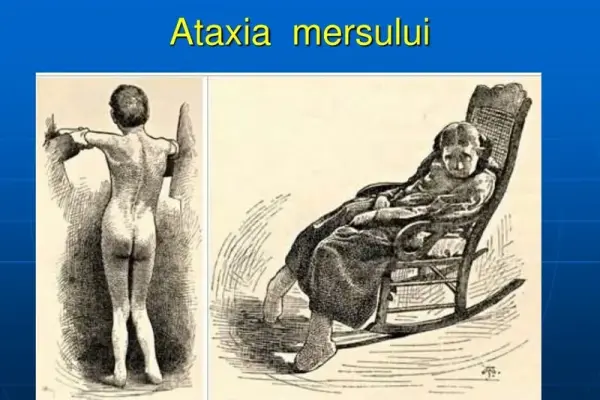 Understanding the genetic causes of friedreich's ataxia